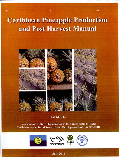 Caribbean pineapple production and post harvest manual – Caribbean