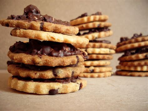 Galletas De Avellana Y Chocolate Cortapicos Y Sacalenguas