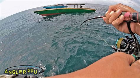 Mancing Di Laut Pakai Umpan Ikan Potong YouTube