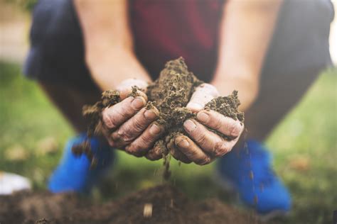 Planting Mix For Native Landscapes Kellogg Garden Organics