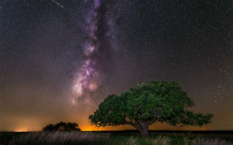 Trees Night Galaxy Space Grass Stars Milky Way Atmosphere