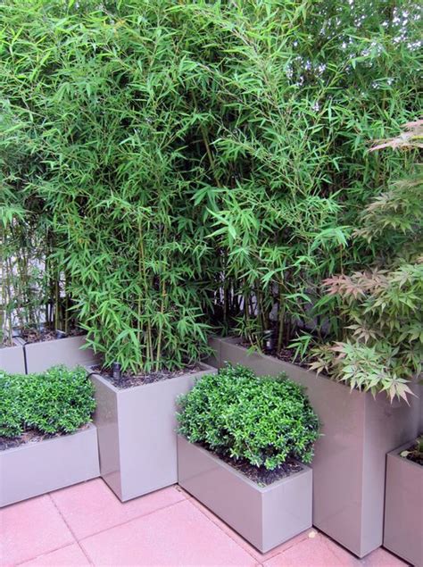 Bamboo Planters And The Only Way On Pinterest