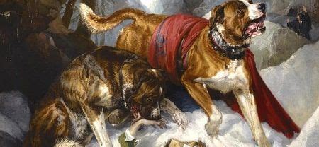 Alpine Mastiff (Extinct) Dog Breed Information