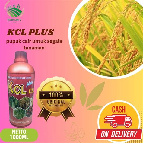 Jual Fertilizer Cair KCL Silika Plus Auksin Giberlin Boster Umbi