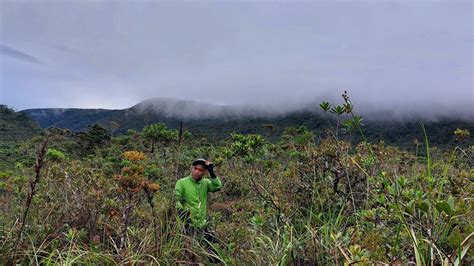 Mt Hamiguitan Pygmy Forest Tinagong Dagat And Hidden Garden Youtube