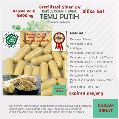 Jual Kapsul Bubuk Temu Putih Herbal Jamu Obat Curah 100 Butir Shopee