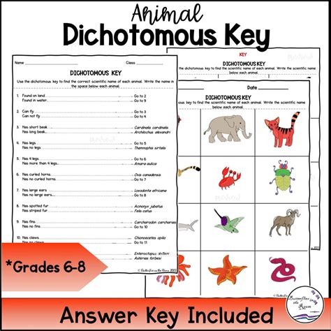 Animal Dichotomous Key Classful