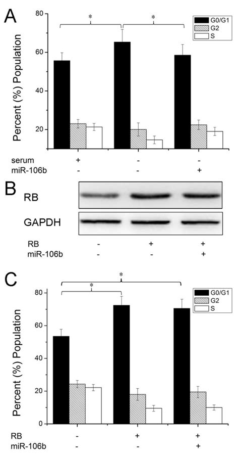 Expression Of Rb Abrogates Mir 106b Induced Cell Proliferation A