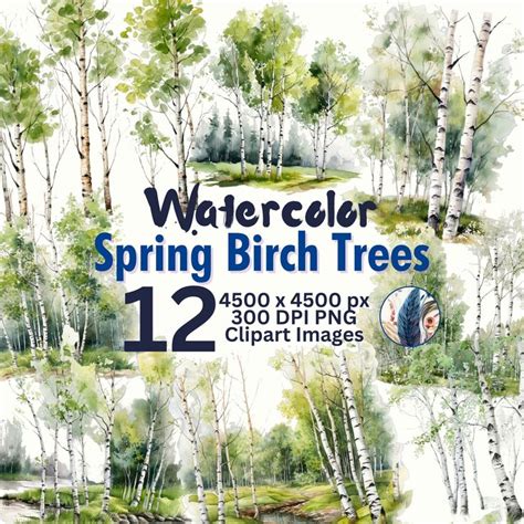 Watercolor Spring Birch Trees Clipart Springtime Birch Forest Png