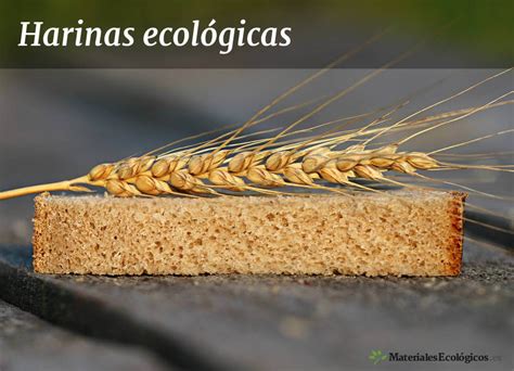 Harinas Ecol Gicas Por Qu Comprar Harina Integral Org Nica