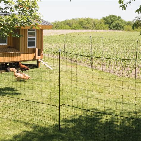 Electric Fence And Netting For Poultry Premier Supplies