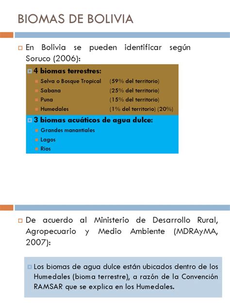 8biomasdebolivia