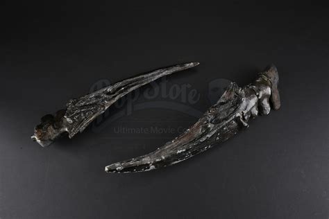 Two Xenomorph Tail Components | Prop Store - Ultimate Movie Collectables