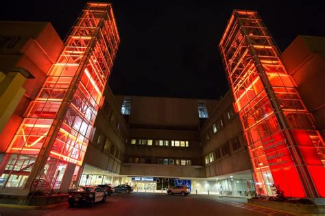 Mcmaster Lights Up For A Cause