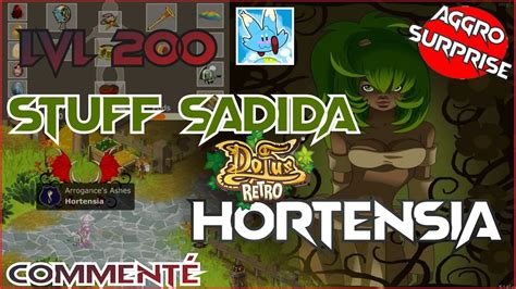 STUFF SADI 200 FULL EXO G7 DOFUS RETRO PVP YouTube