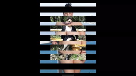 Geile Fotzen Diashow Free HD Porn Video XHamster