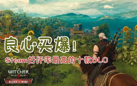 【游戏最top】良心买爆！steam好评率最高的十款dlc哔哩哔哩bilibili