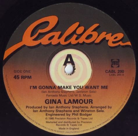 Retro Disco Hi Nrg Gina Lamour Im Gonna Make You Want Me 12 Maxi