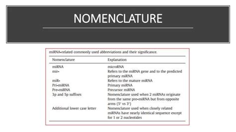 Mirna Biogenesis Mechanism Of Action Isolation Protocol And