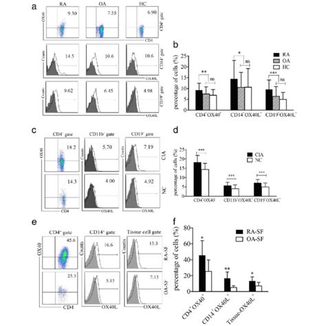 Expression Of Ox40 And Its Ligand Ox40l In Patients With Ra And Cia