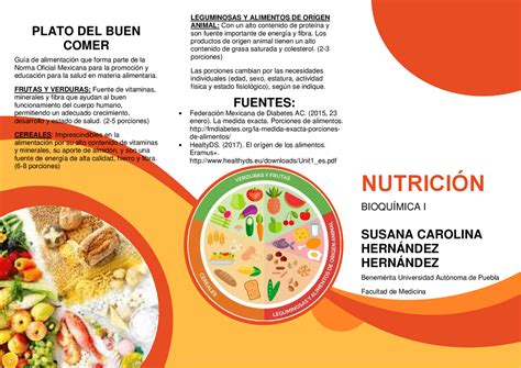 Triptico De Nutrición Bioquímica I Docsity