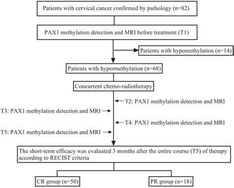 Methylation Of Pax Gene Promoter In The Prediction Of Concurrent Chemo