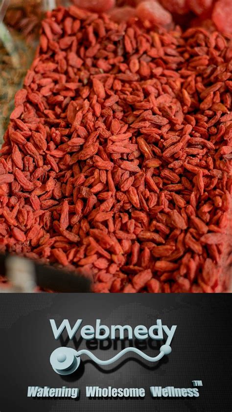 Top Health Benefits Of Goji Berry