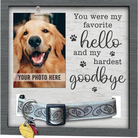 Pet Picture Frame - Dog Loss Gift - Memories That Never Fade - DogsFuns