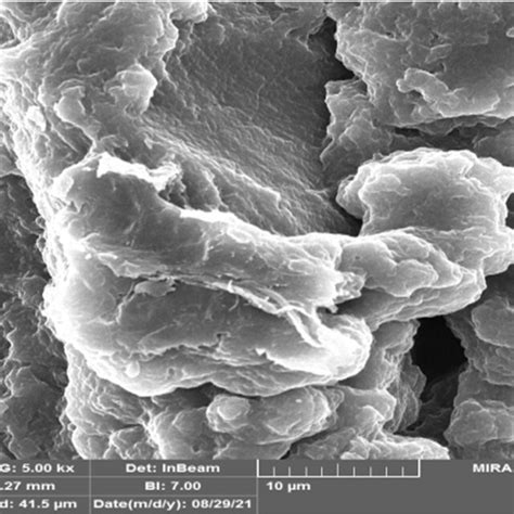 SEM Images Of A PVA GA CH Hydrogel And B CS GA PH Hydrogel After