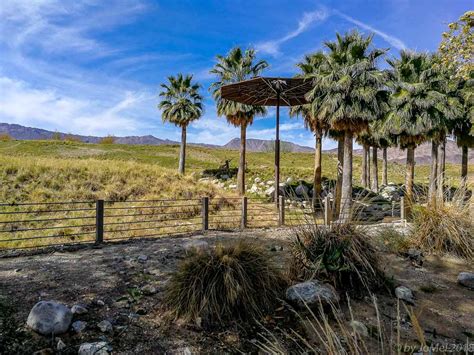 The Living Desert Zoo And Gardens Palm Desert California Womo Abenteuer