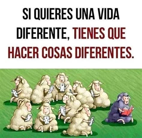 Si Quieres Una Vida Diferente Tienes Que Hacer Cosas Diferentes Frases