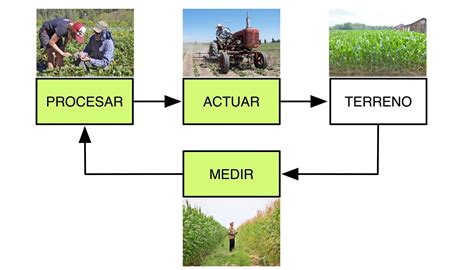 El Uso De Robots En Tareas Agrícolas Horticultura