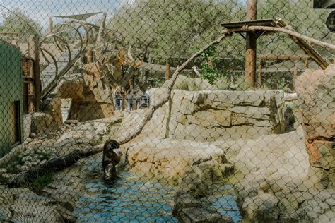 Orange County Zoo Large Mammal Habitat — COAR Design Group