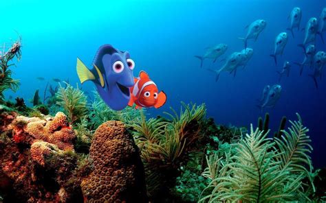 Finding Nemo Wallpapers on WallpaperDog