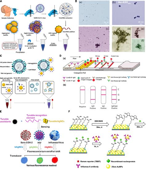 Examples Of Metallic Nanoparticle Based Strategies For Diagnosis Of