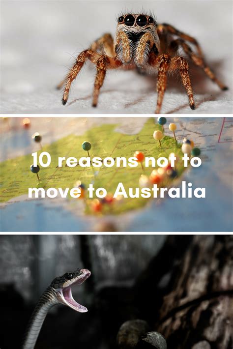 10 Reasons NOT To Move To Australia Proudly South African In Perth