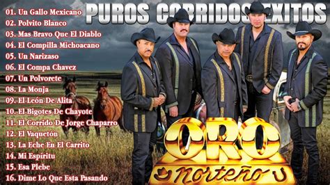 Oro Norteño Las Mejores Canciones Puros Corridos Perrones Mix YouTube