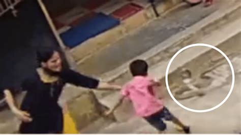 Karnataka Mother Saves Son From Snake Attack Video Goes Viral