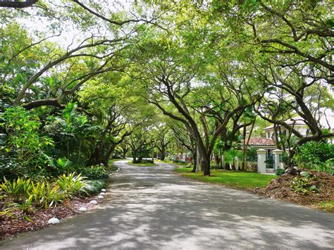 Típica Rua Arborizada Em Coral Gables Estado Do Texas Usa Fotografia