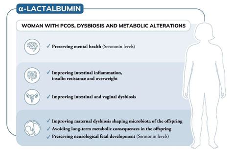 Alpha lactalbumin benefits | Download Scientific Diagram