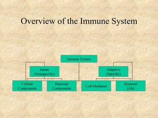 Antigens | PPT