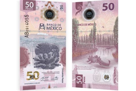 Nuevo Billete De 50 Pesos El Ajolote Y La Fundación De Tenochtitlán