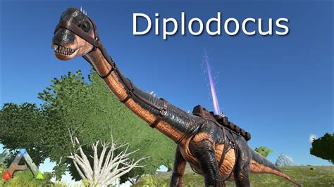 Diplodocus Tamming ARK SURVIVAL EVOLVED YouTube