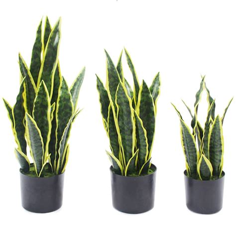 Faux Plastic Snake Plant Artificial Snake Plants For Decoration Potted