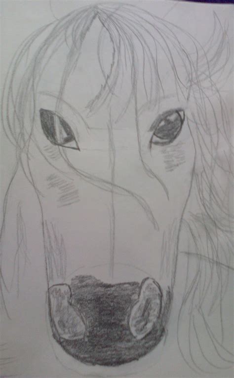 My horse face drawing | Horse face drawing, Face drawing, Drawings