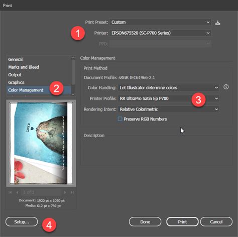 How To Use Inkjet Printer Profiles Adobe Illustrator Windows