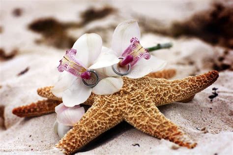 Wedding Rings At White Orchid And Starfish On The Beach Stock Image