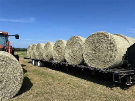 Bermuda Grass Hay - EDGEWOOD, Texas - AllHay.com