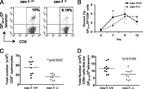 Caveolin 1 Orchestrates Tcr Synaptic Polarity Signal Specificity And