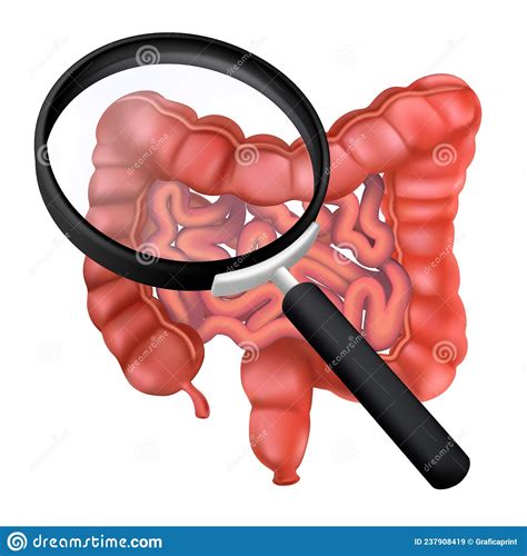 Intestines Realistic Hand Drawn Icon Of Human Internal Organs